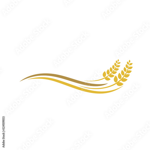 Wheat rice agriculture logo, Wheat grain, Wheat Nutrition, Wheat rice agriculture logo Inspiration vector