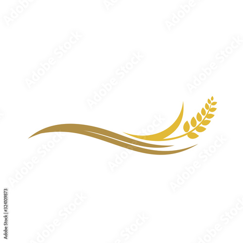 Wheat rice agriculture logo, Wheat grain, Wheat Nutrition, Wheat rice agriculture logo Inspiration vector photo