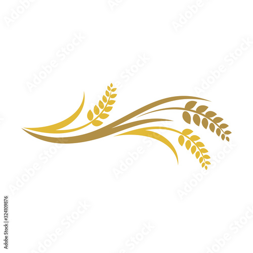 Wheat rice agriculture logo, Wheat grain, Wheat Nutrition, Wheat rice agriculture logo Inspiration vector
