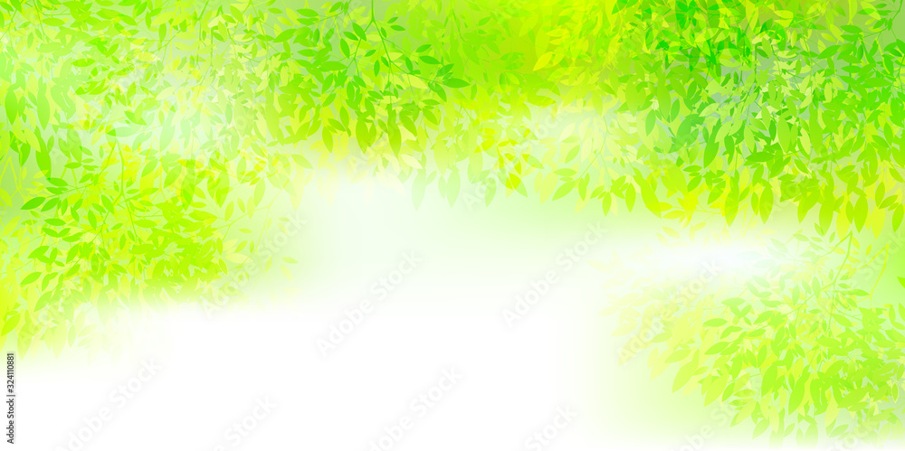 新緑　葉　緑　背景