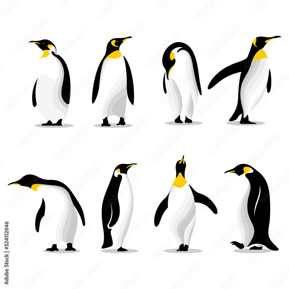 Cute penguins set logo - obrazy, fototapety, plakaty 