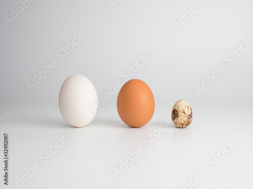 Foto 3 types of eggs: duck egg chicken egg quail egg.