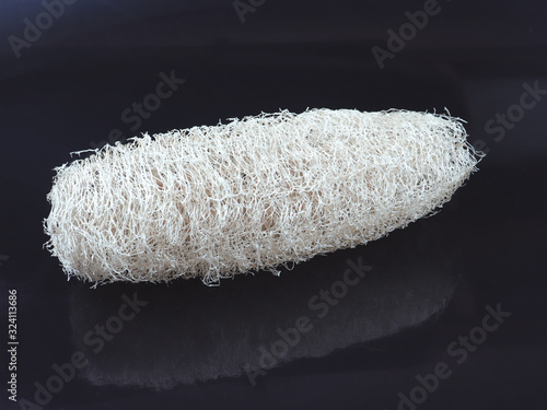 Luffa acutangula isolade on a black background. photo