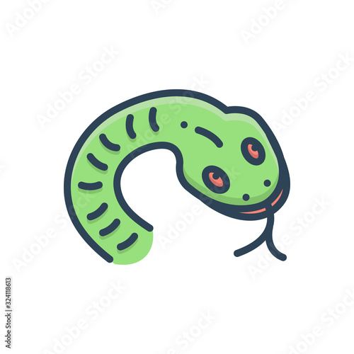 Color illustration icon for snake  © WEBTECHOPS