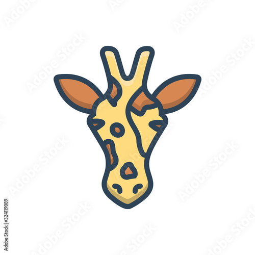 Color illustration icon for giraffe 