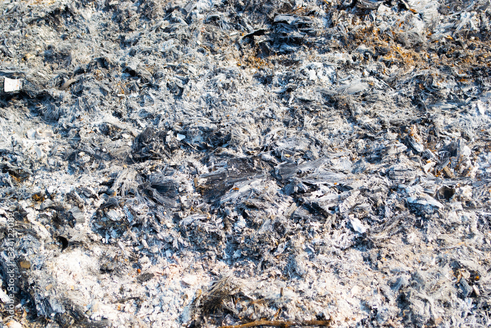 Naklejka premium Ashes from burning wood to warm the body.