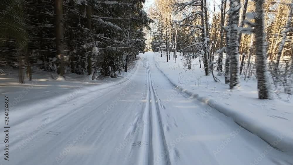 Ski traffic in the forest in winter, Novosibirsk, Russia 