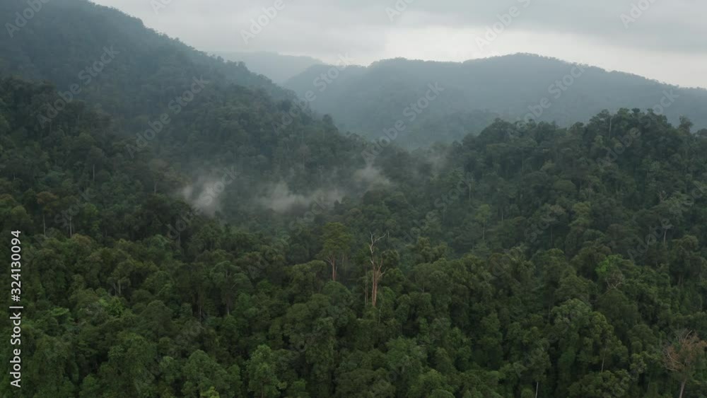 Aerial Landscape of Dense Rainforest with Mist and Clouds around Mountains. Filmed in the Jungle of North Sumatra, Indonesia. Aerial Landscape of Dense Rainforest with Mist and Clouds around Mountains. Filmed in the Jungle of North Sumatra, Indonesia.