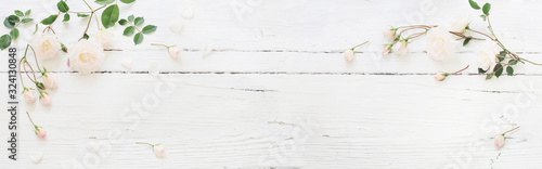 roses on white wooden background