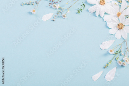 white flowers on paper background