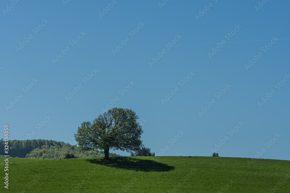 berg mit schatten und gruene wiese berg mit schatten und gruene wiese