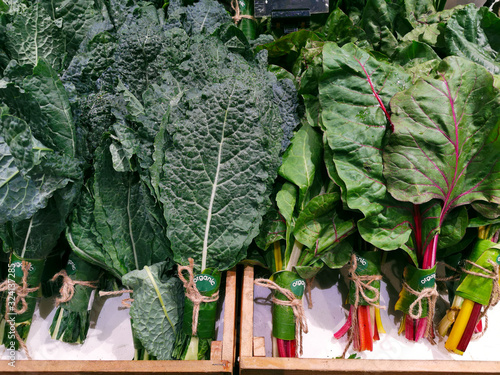 Organic fresh harvested mix green vegetable of Swiss chard , Kale , Lacinato kale. Green background. Vegetarian food. Food Concept.