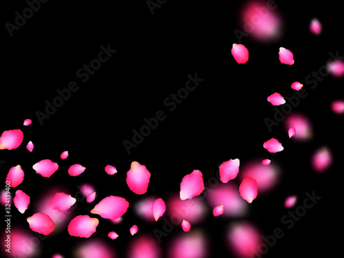 Pink admirable petals flying over black background. Apple spring tree blossom parts confetti. Flower petals vector illustration for inviration card. Floral design.