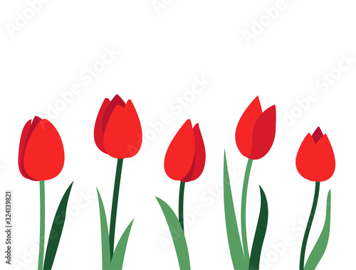 Bright vector layout with red tulip flowers and green leaves isolated on white background. Empty place for text. Minimal design concept for banner, promotion offer, spring and summer sale, advertising