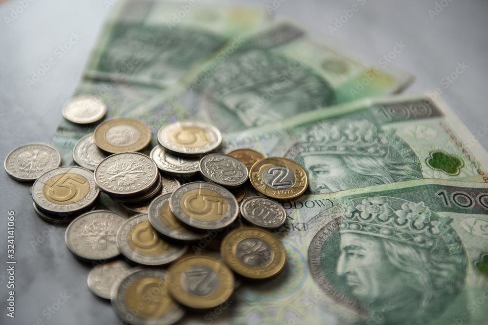 zloty polish cash money currency bank note coins zloty polish cash money currency bank note coins