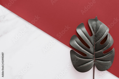 Tropical green leaf on white marble texture and red wall abstract background.