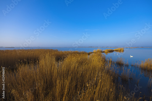 Early in the morning on the Peene river near the Baltic Sea.