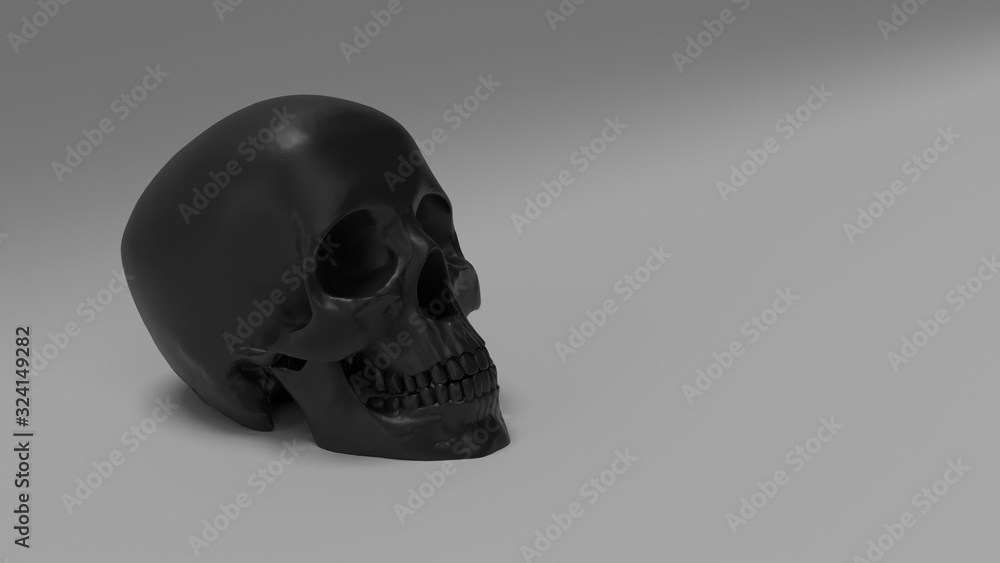 high poly anatomically correct render of human skull high poly anatomically correct render of human skull