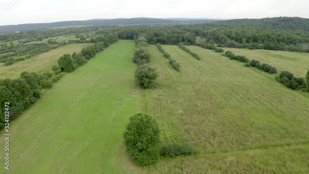 Drone over rural fields in Orange County New York. This is one clip of many in this series - each of which shows a different angle and natural scenery (trees / fields) in the frame. Drone over rural fields in Orange County New York. This is one clip of many in this series - each of which shows a different angle and natural scenery (trees / fields) in the frame.