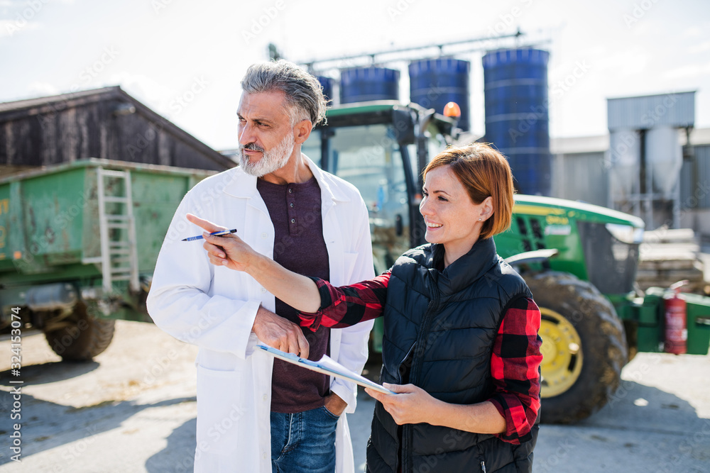 Man and woman managers working on diary farm, agriculture industry. Man and woman managers working on diary farm, agriculture industry.
