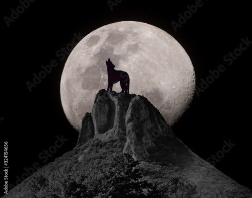 moon