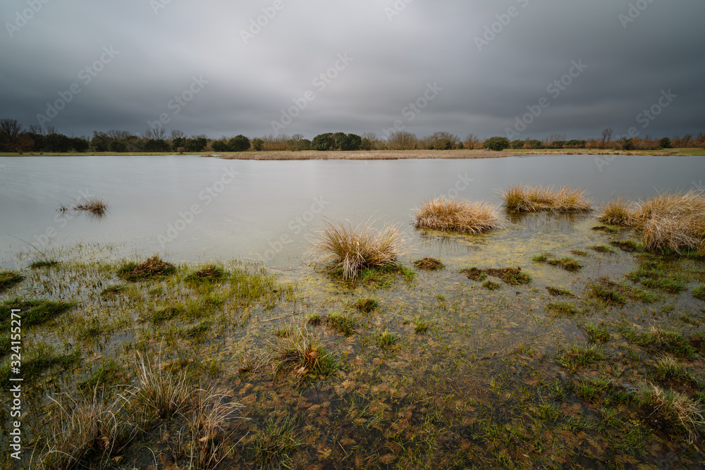 Humedal. Laguna de Ongil en invierno. Catálogo zonas húmedas. Chozas de Abajo, León, España.