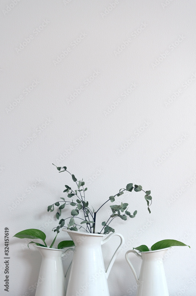 ３つの花瓶と観葉植物　白背景　白い花瓶　ナチュラル　インテリアグリーン　余白　コピースペース　文字スペース　ホワイトスペース　壁　部屋　屋内　室内　空間　グラフィック素材　背景素材　縦