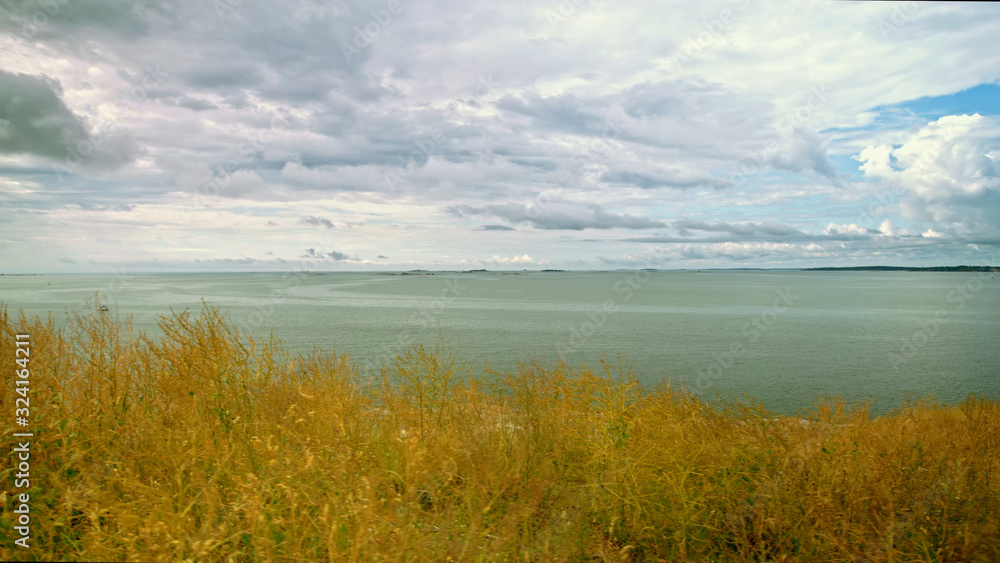 View of a dark bay in cloudy weather from the shore of overgrown with yellow grass in Helsinki