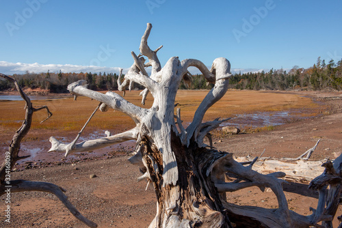 landscape at thomas cove coastal reserve at the Canadian province of Nova Scotia