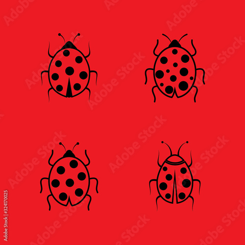 Beauty bug vector illustration icon design