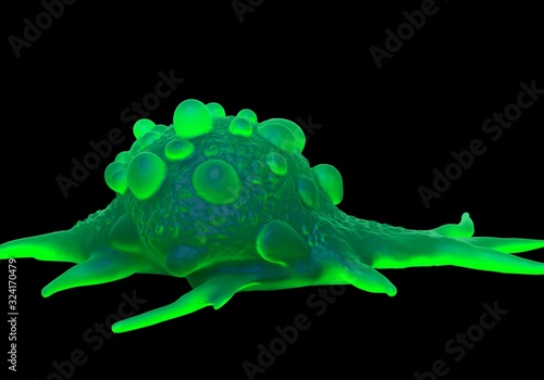 3d illustration - Bladder cancer cells photo