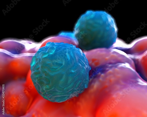 3d illustration - Foetal Blood Stem Cell photo