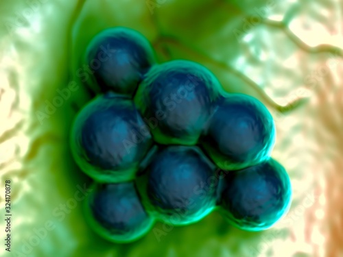 3d illustration - MRSA Bacteria or Super Bug Bacteria photo