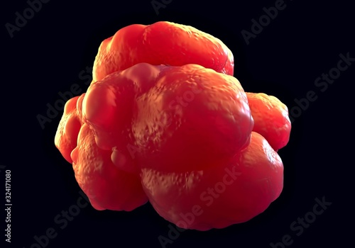 3d illustration - Pluripotent Stem Cells