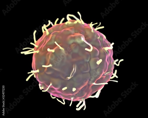 3d illustration - Stem Cells photo