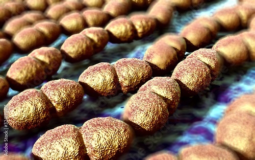 3d illustration - Enterococcus Faecalis Bacterium photo