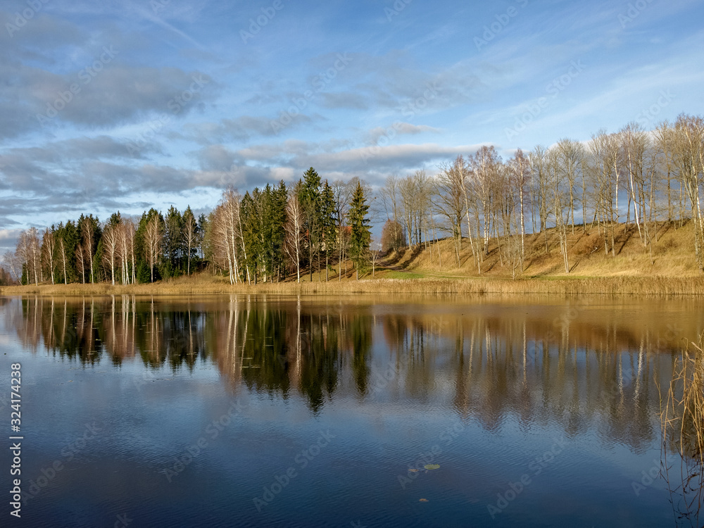 Fototapeta premium beautiful autumn landscape
