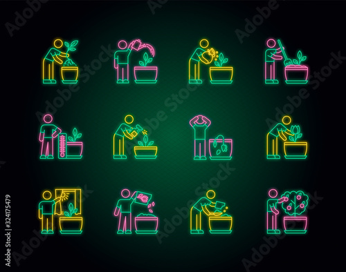 Houseplant care neon light icons set. Domestic plant cultivation. Repotting, fertilizing. Planting seeds. Watering, spraying. Signs with outer glowing effect. Vector isolated RGB color illustrations