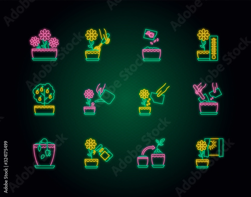 Houseplant care neon light icons set. Plant cultivation. Repotting, spraying. Planting flower seeds. Watering, fertilizing. Signs with outer glowing effect. Vector isolated RGB color illustrations