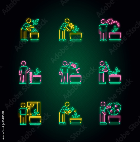 Indoor gardening steps neon light icons set. Plant cultivation. Repotting, watering. Fertilizing, spraying. Propagating flower. Signs with outer glowing effect. Vector isolated RGB color illustrations