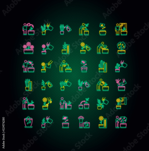 Houseplant care neon light icons set. Plant cultivation. Repotting, replanting. Planting seeds. Watering, soil fluffing. Signs with outer glowing effect. Vector isolated RGB color illustrations