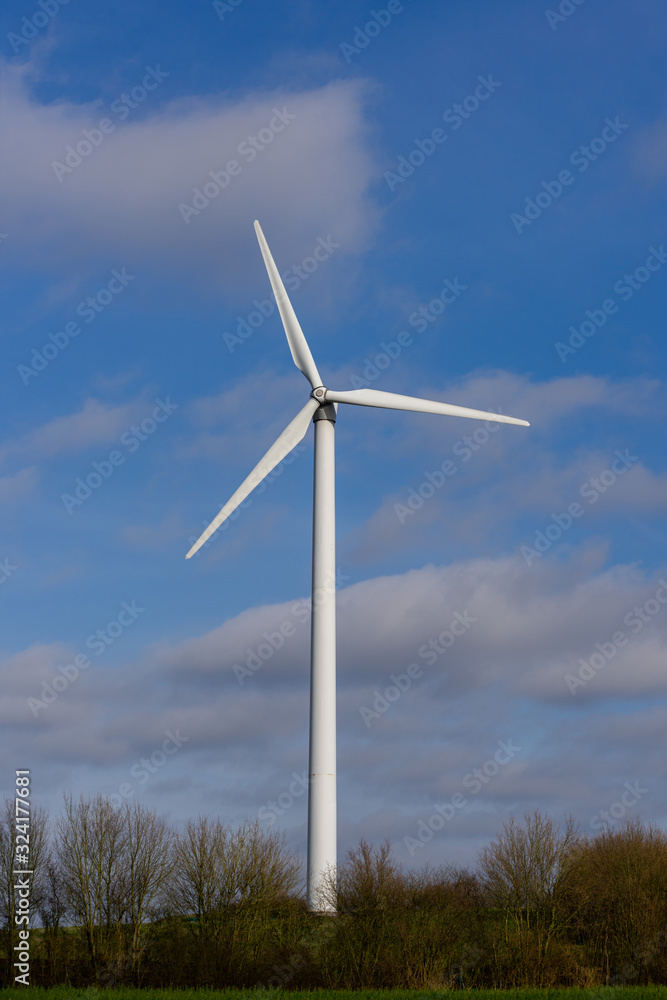 Windrad auf einer Wiese im Vordergrund Bäume Windrad auf einer Wiese im Vordergrund Bäume