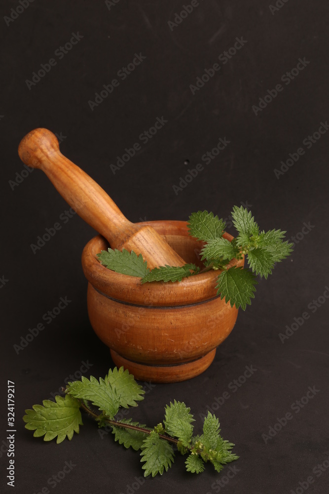 plant used for nettle medicine in color background