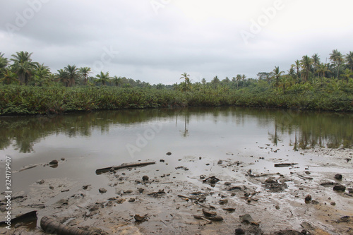 Swampy areas in the south of the Sao Tome island