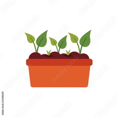 house plant cultivating flat style