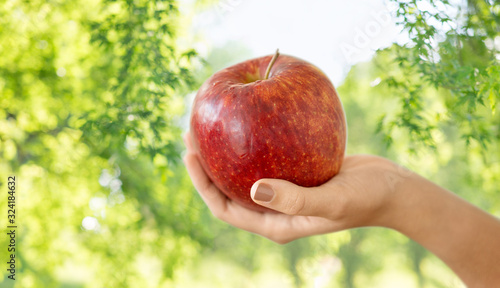 food, diet and people concept - close up of hands holding ripe red apple over green natural background