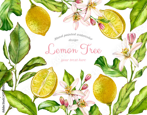 Fototapeta Naklejka Na Ścianę i Meble -  Watercolor Lemon fruits. Frame with branches, flowers, leaves. Realistic botanical watercolor banner with citrus tree isolated on white. Fresh tropical food design with text for label