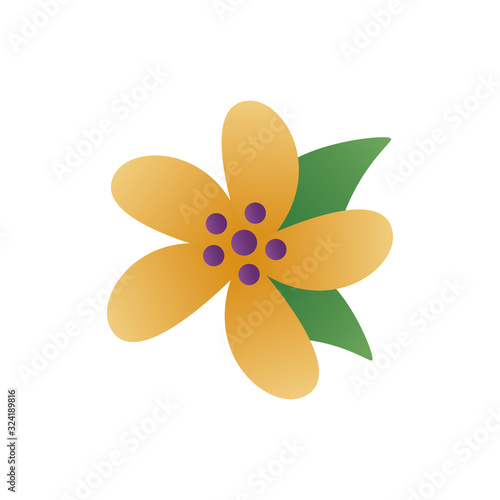 cute flower with leafs spring degradient style icon photo