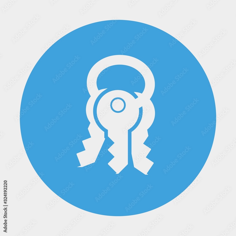 keys icon vector illustration and symbol for website and graphic design keys icon vector illustration and symbol for website and graphic design