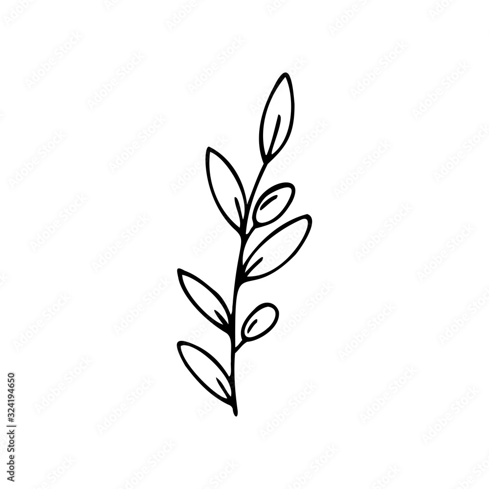 Hand drawn olive branch isolated on a white background. Doodle, simple outline illustration. It can be used for decoration of textile, paper and other surfaces. Hand drawn olive branch isolated on a white background. Doodle, simple outline illustration. It can be used for decoration of textile, paper and other surfaces.